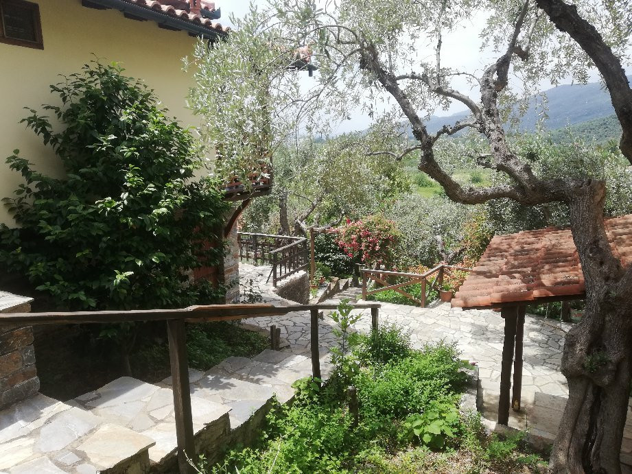 Guesthouse Apanemia主图