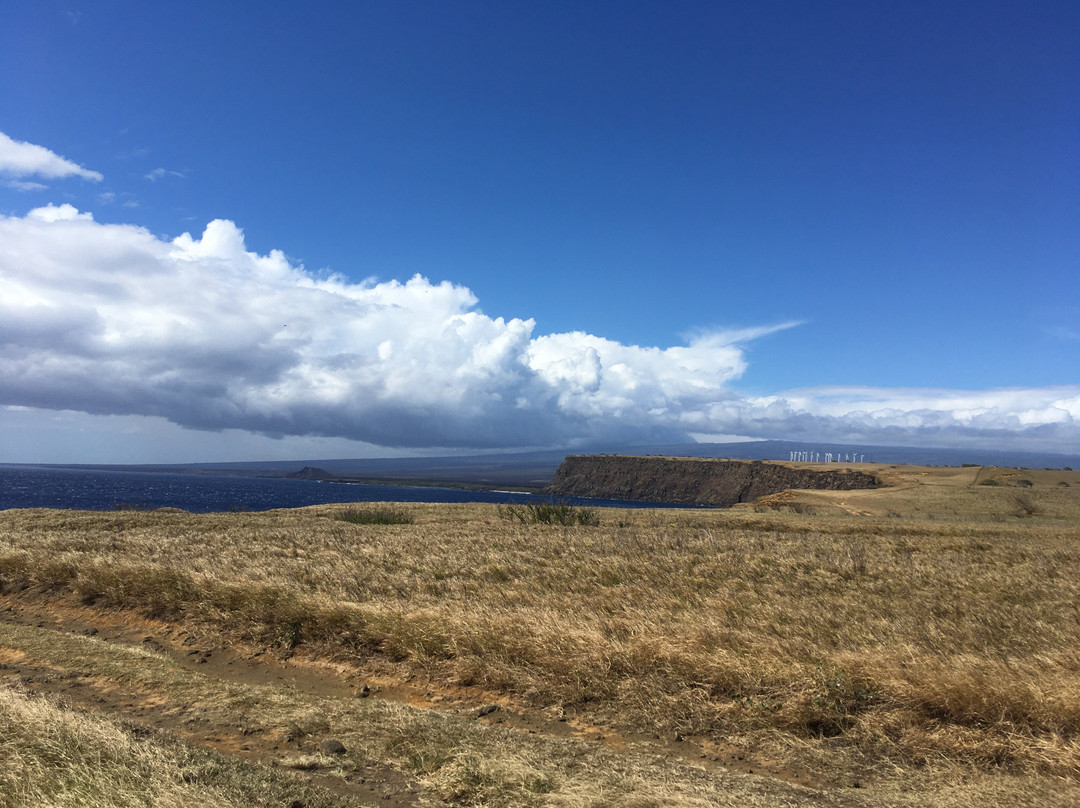 Pakini Nui Wind Farm景点图片