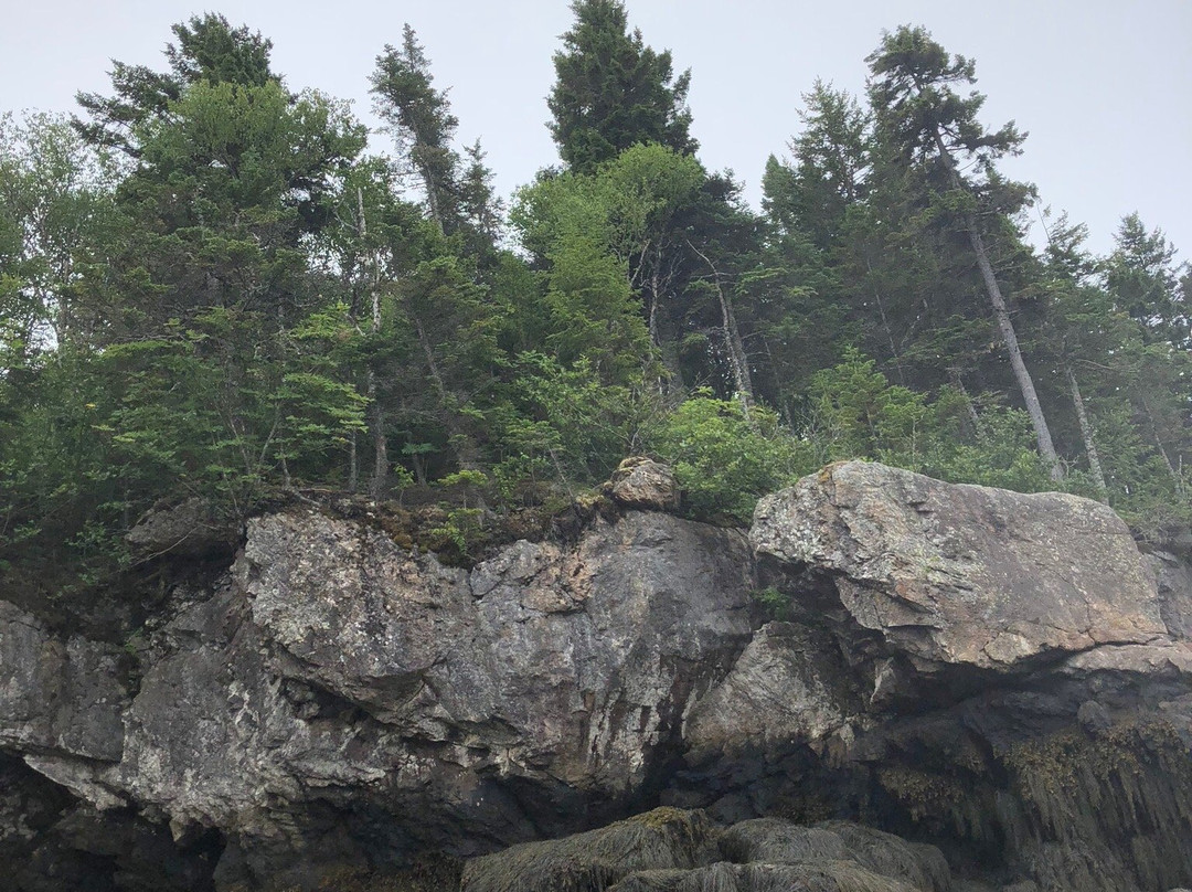 New River Beach Provincial Park景点图片