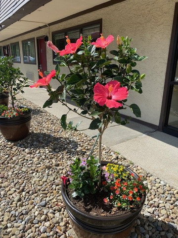 Red Roof Inn Cleveland - Independence主图