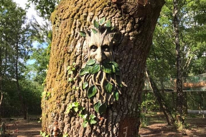 Mystic Woods Park景点图片