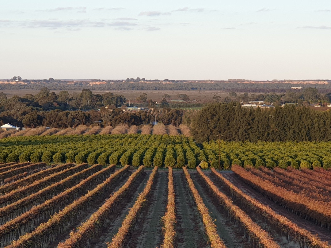 Renmark Rotary Township Lookout Tower-Renmark必去景点