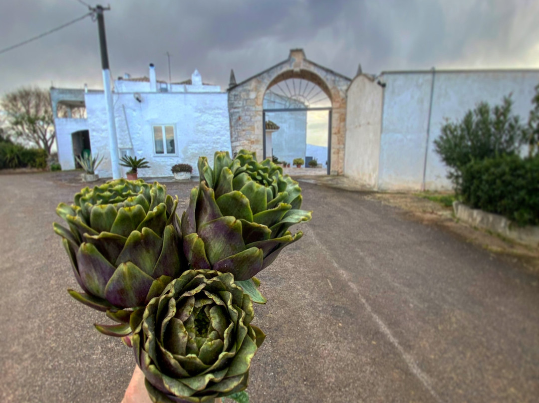 Masseria Fragnite景点图片