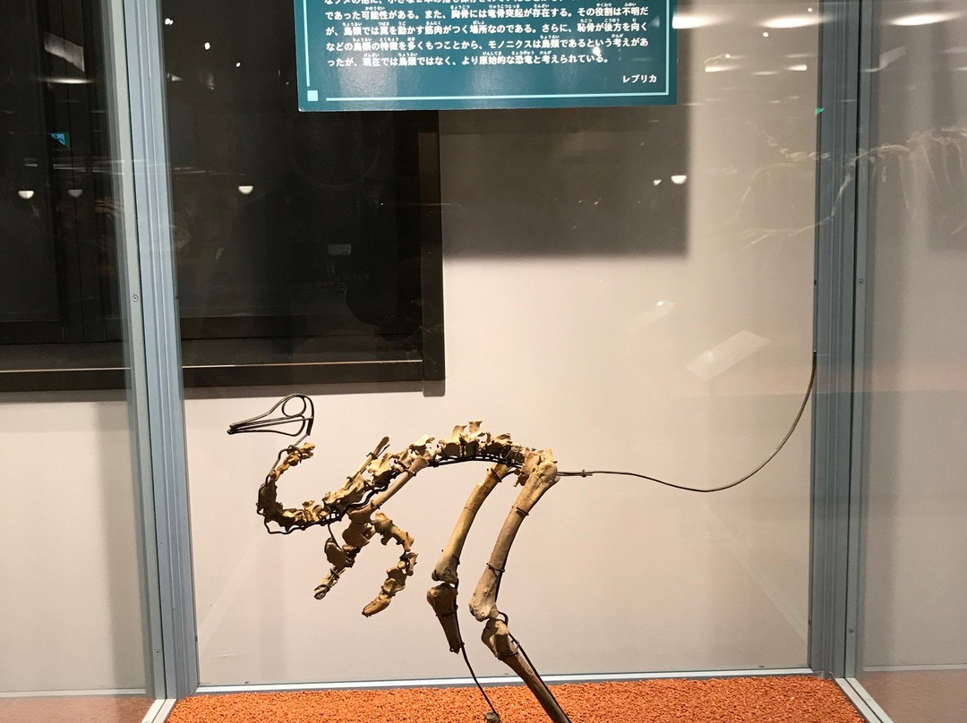 Kannamachi Dinosaurs Center景点图片