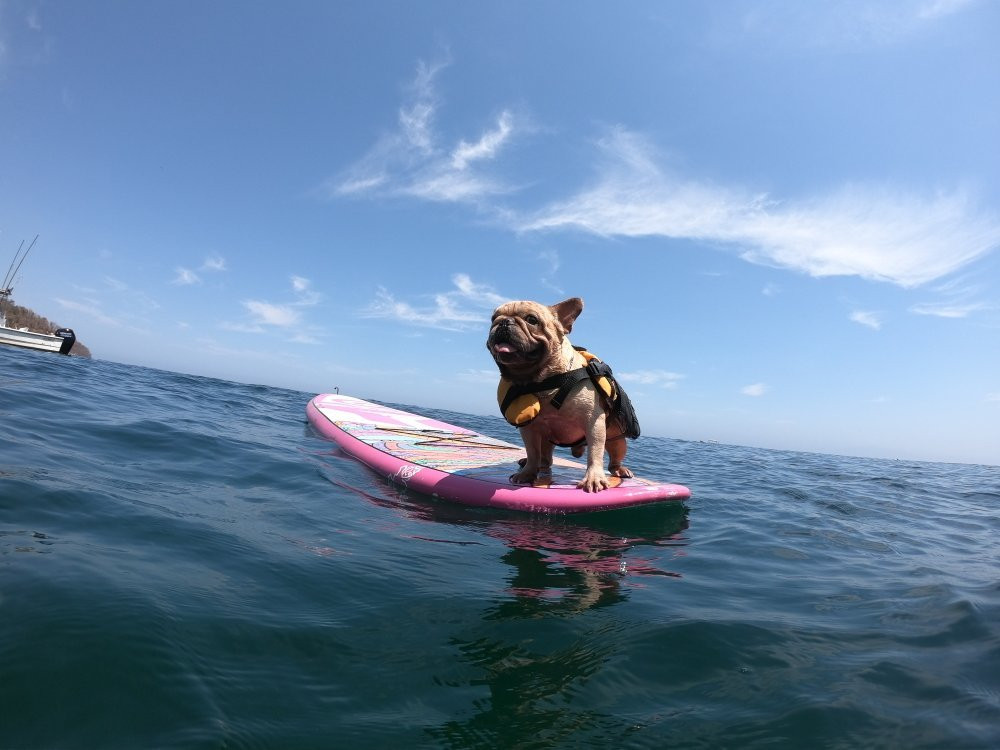 Akali Experiences-La Cruz de Huanacaxtle必去景点