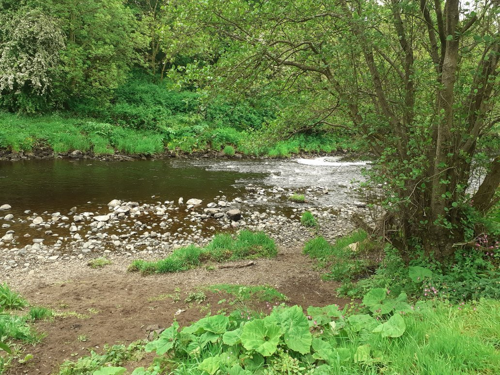 Shewalton Wood-Irvine必去景点