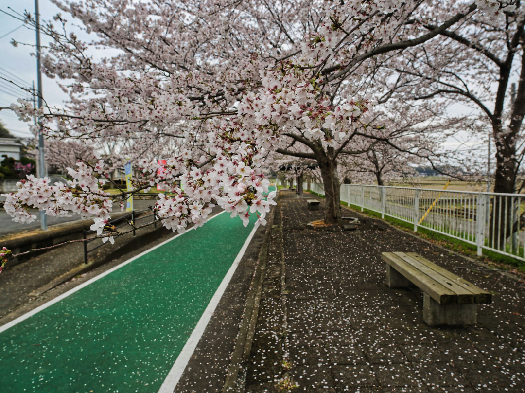 Tsukuba Rinrin Road-樱川市必去景点