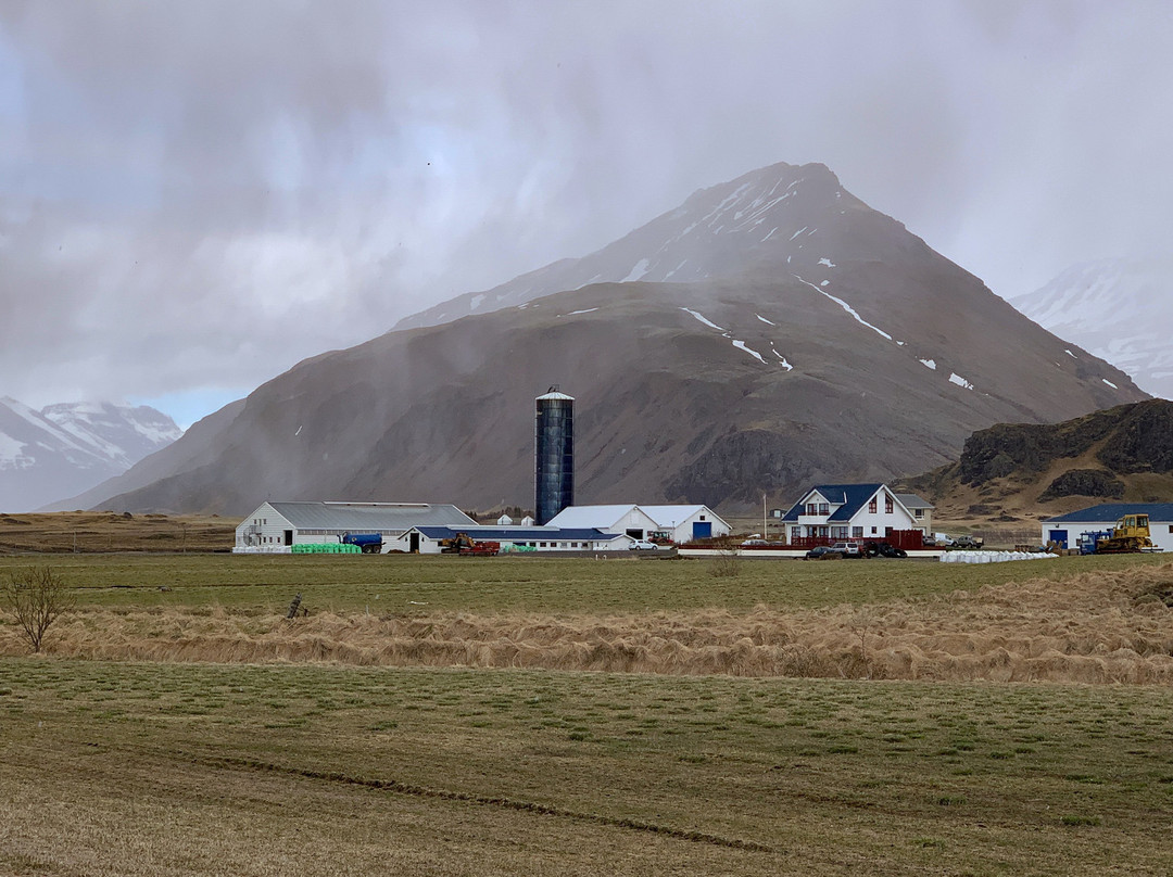 瑟尔杰维利酒店主图