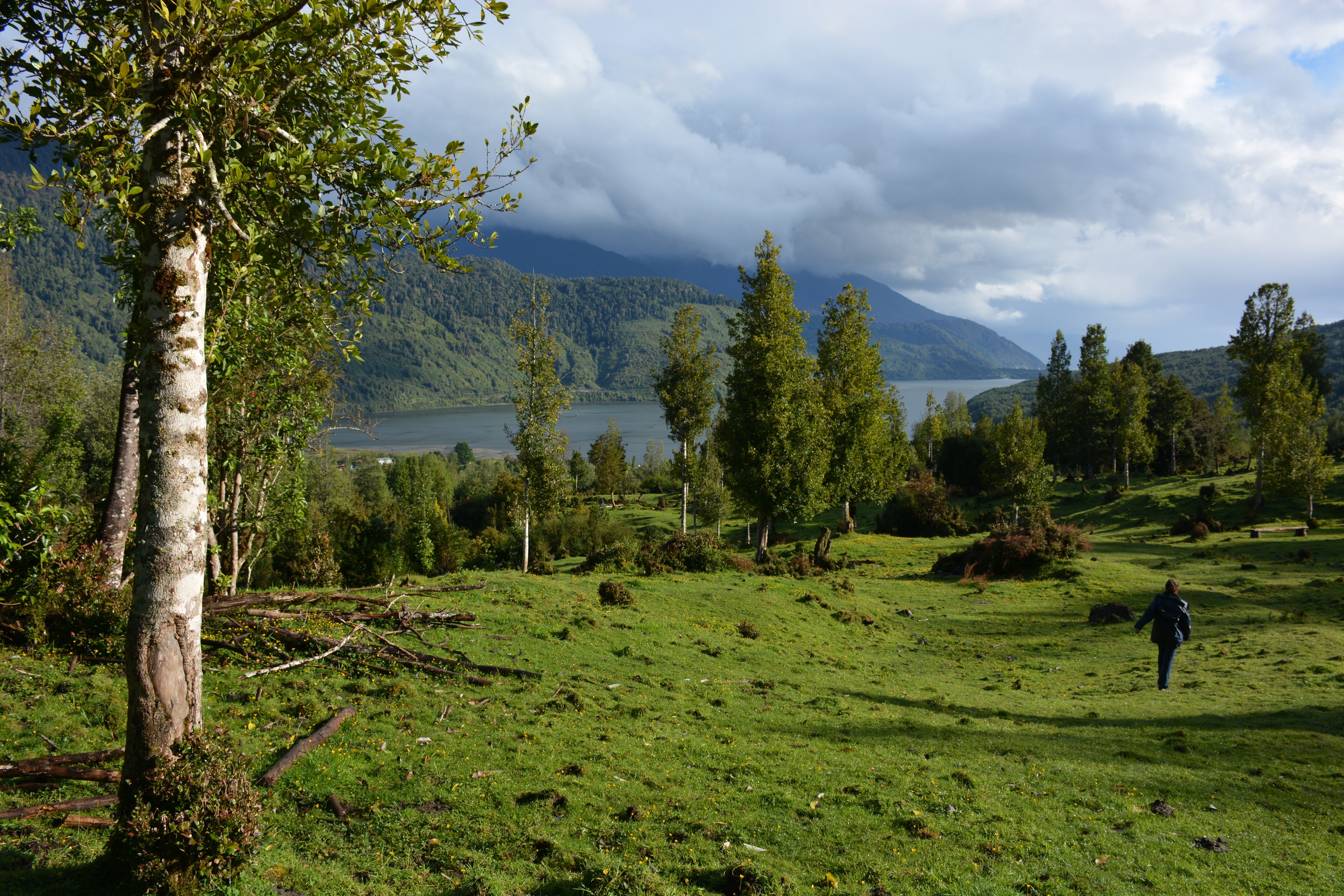 Cabana Senderos Puyuhuapi-浴室