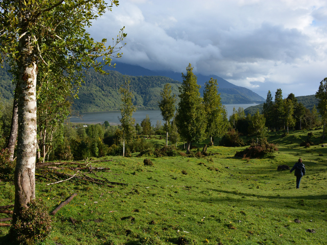 Cabana Senderos Puyuhuapi主图