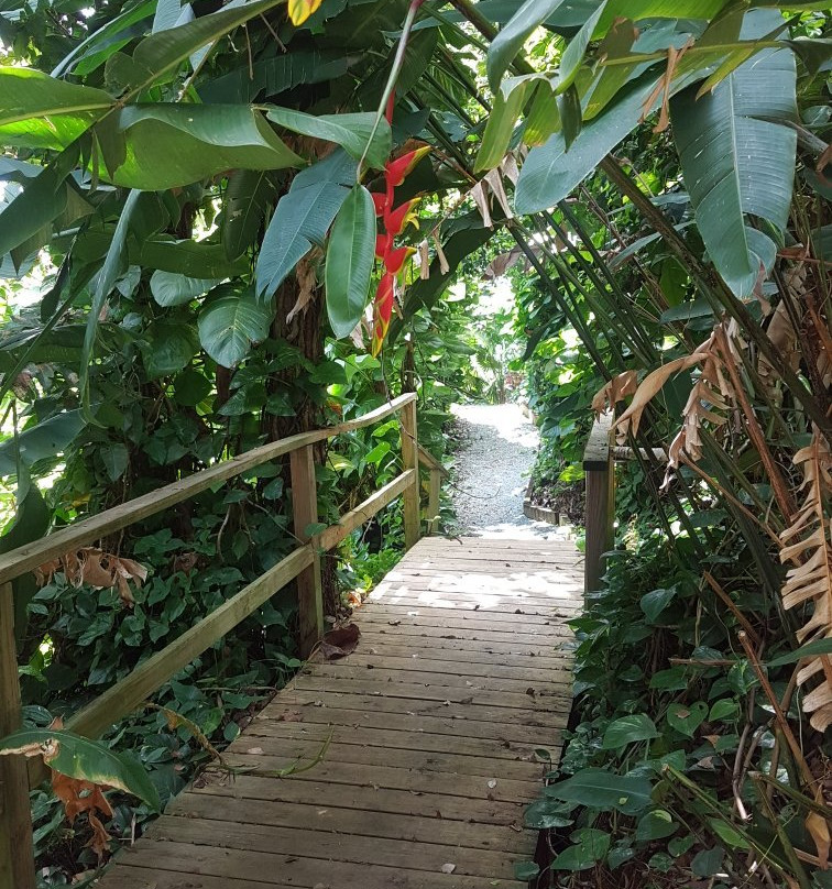 Plantation Crown and Hawk Botanical Garden-圣 托马斯必去景点