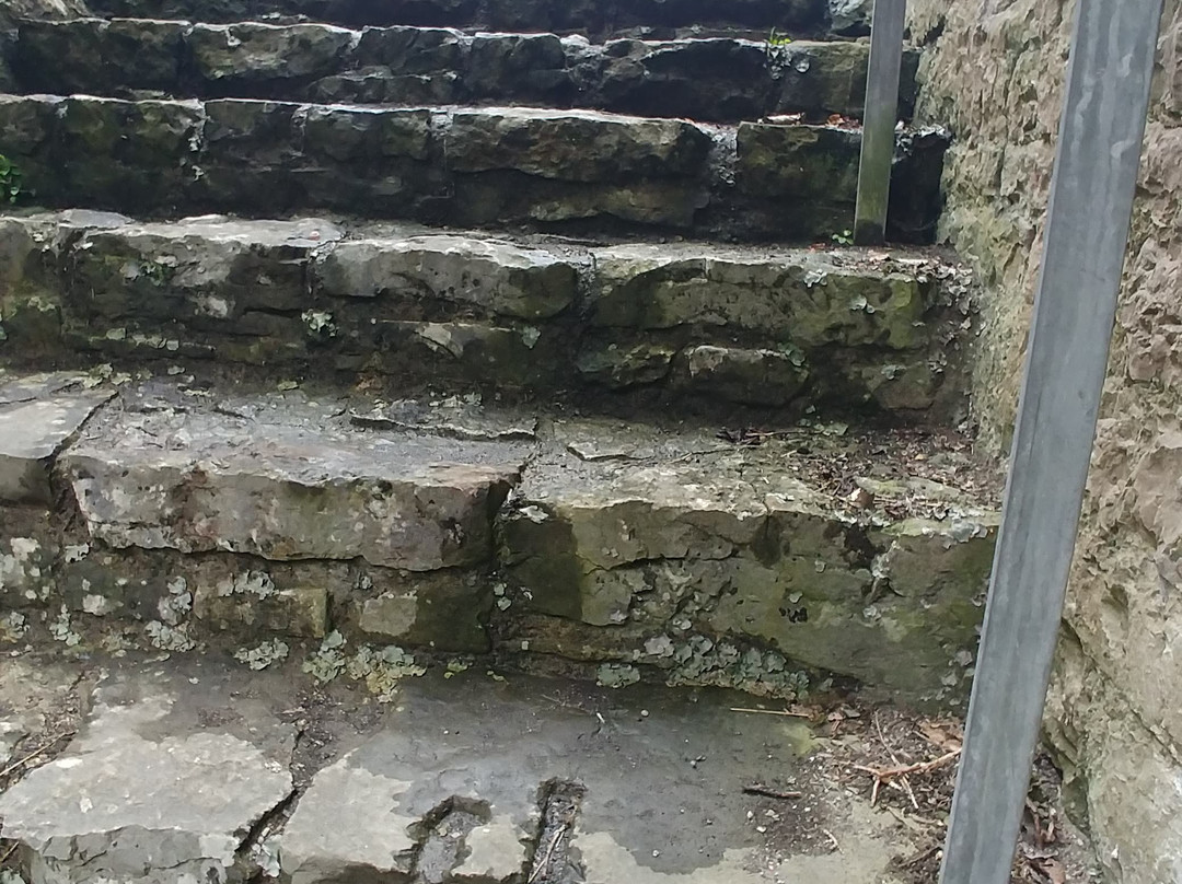 Denbigh Castle景点图片