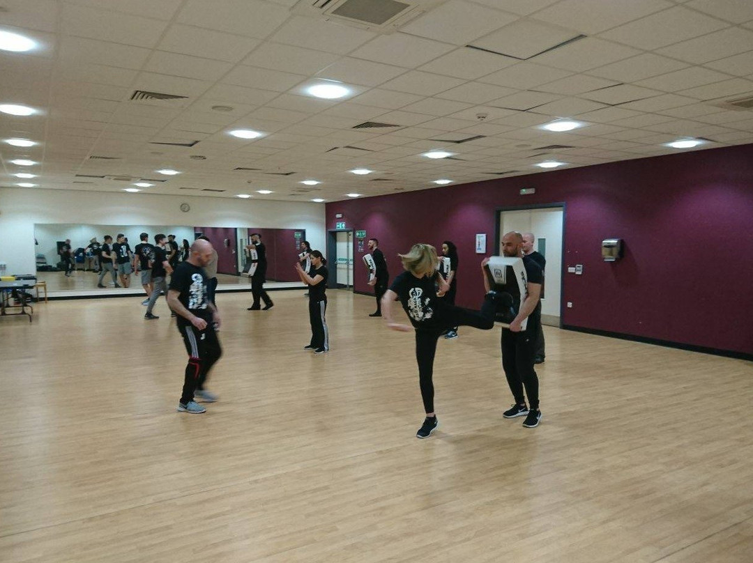 Spartans Academy of Krav Maga景点图片