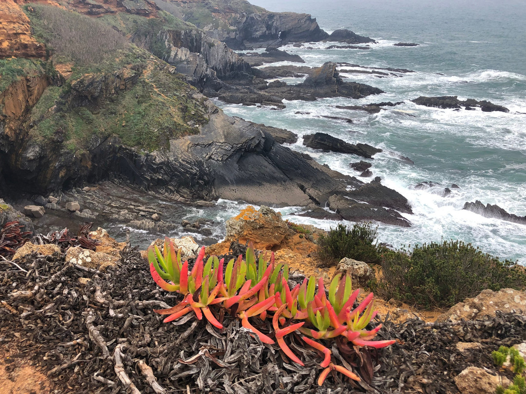 Cape Sardão景点图片