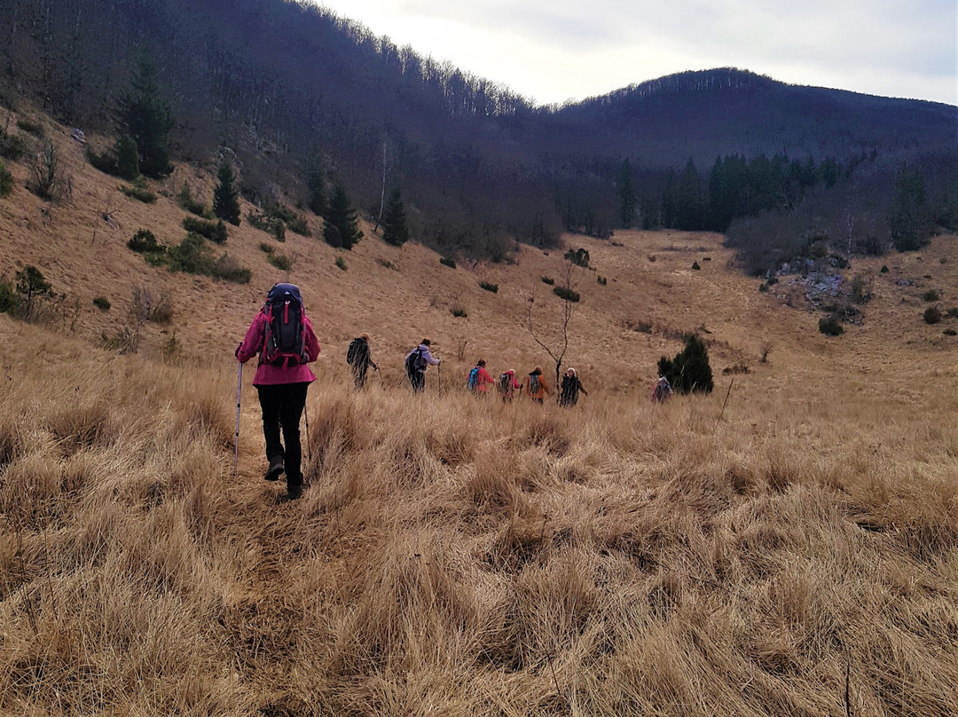 Ucka Nature Park-洛夫兰必去景点