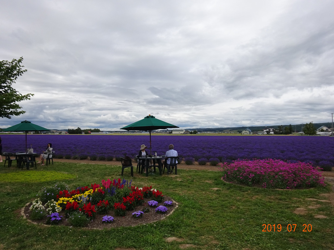 Farm Tomita Lavender East景点图片