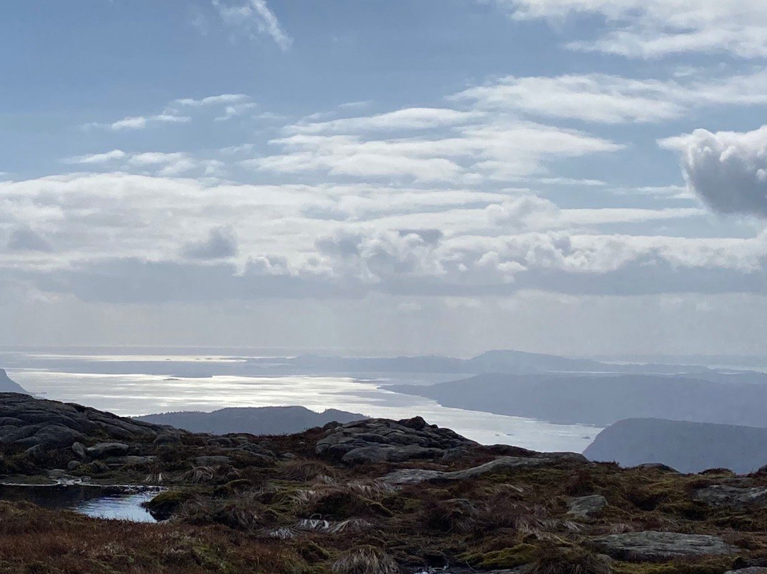Vikedal旅游攻略图片