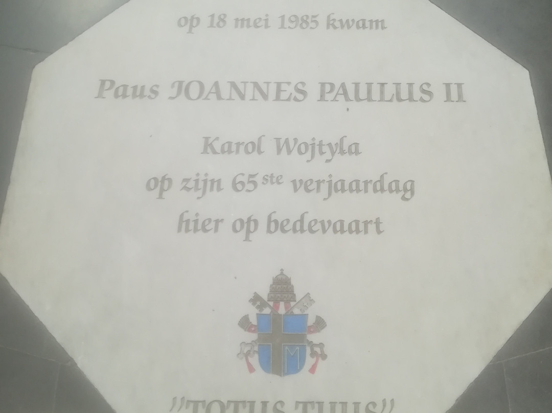 Onze-Lieve-Vrouw van Hanswijk景点图片