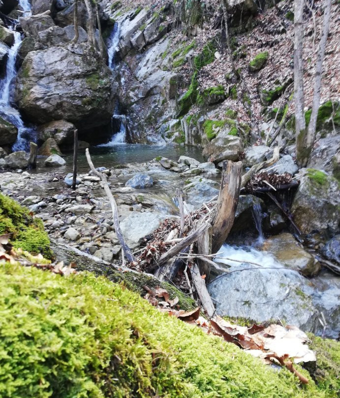 Arxontiko Agonari主图