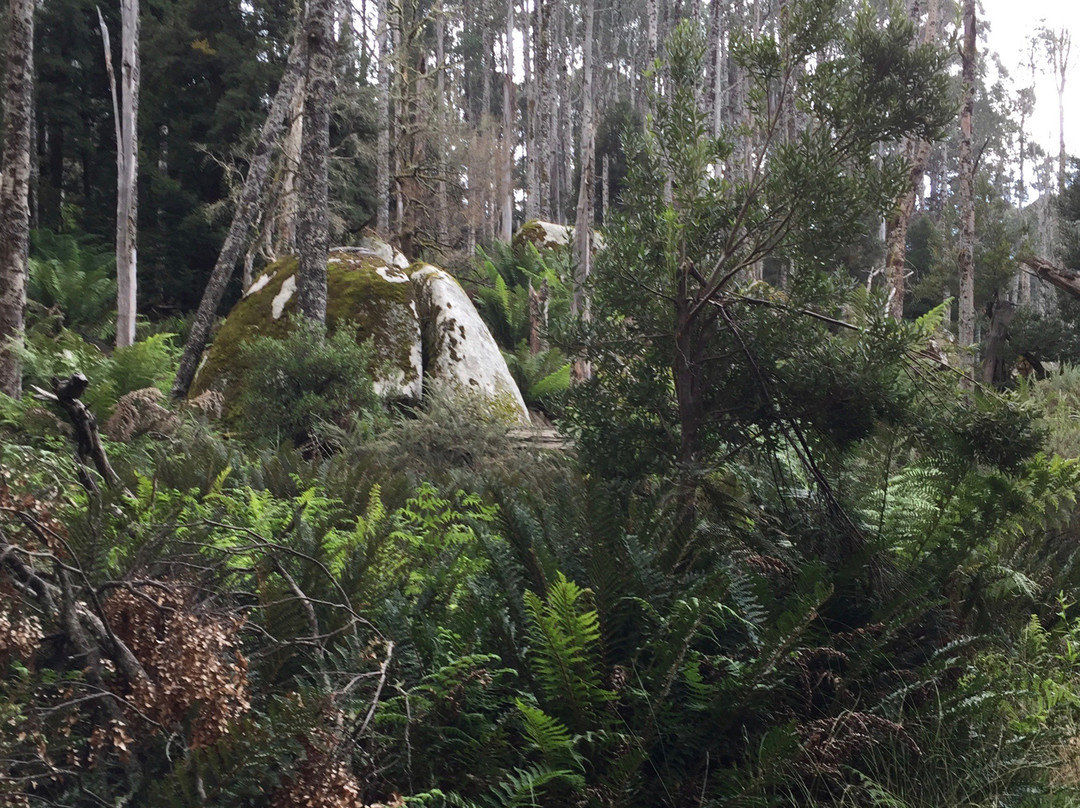 Mushroom Rocks-Erica必去景点