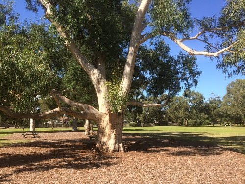 Thomas Street Reserve-Hampton必去景点