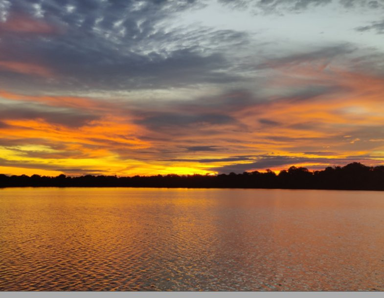Amazon Jungle Trips景点图片