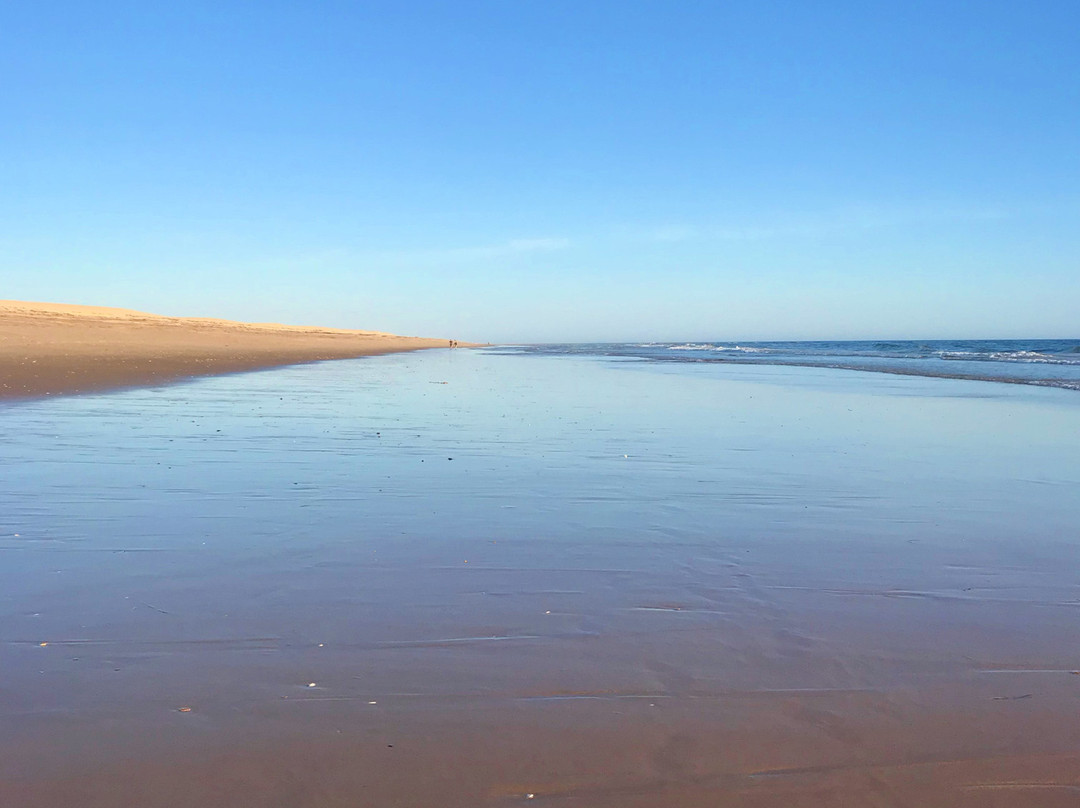 iSea Boat Charter-法罗必去景点