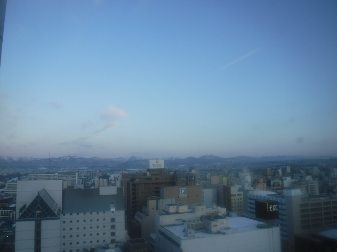 旭川站前路线酒店主图