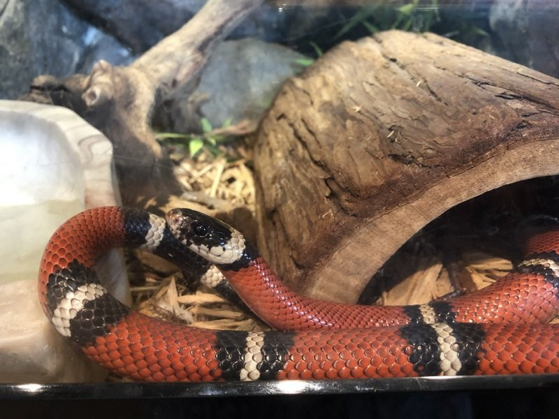 Living Coast Discovery Center-丘拉维斯塔必去景点