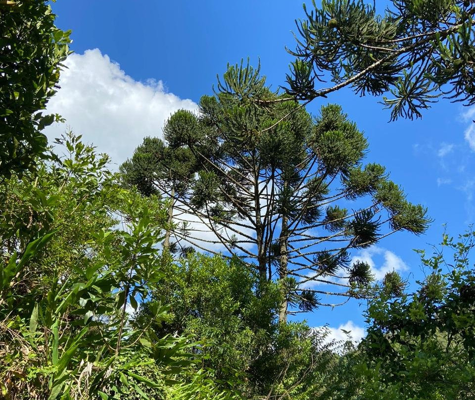 Pousada Moriá主图