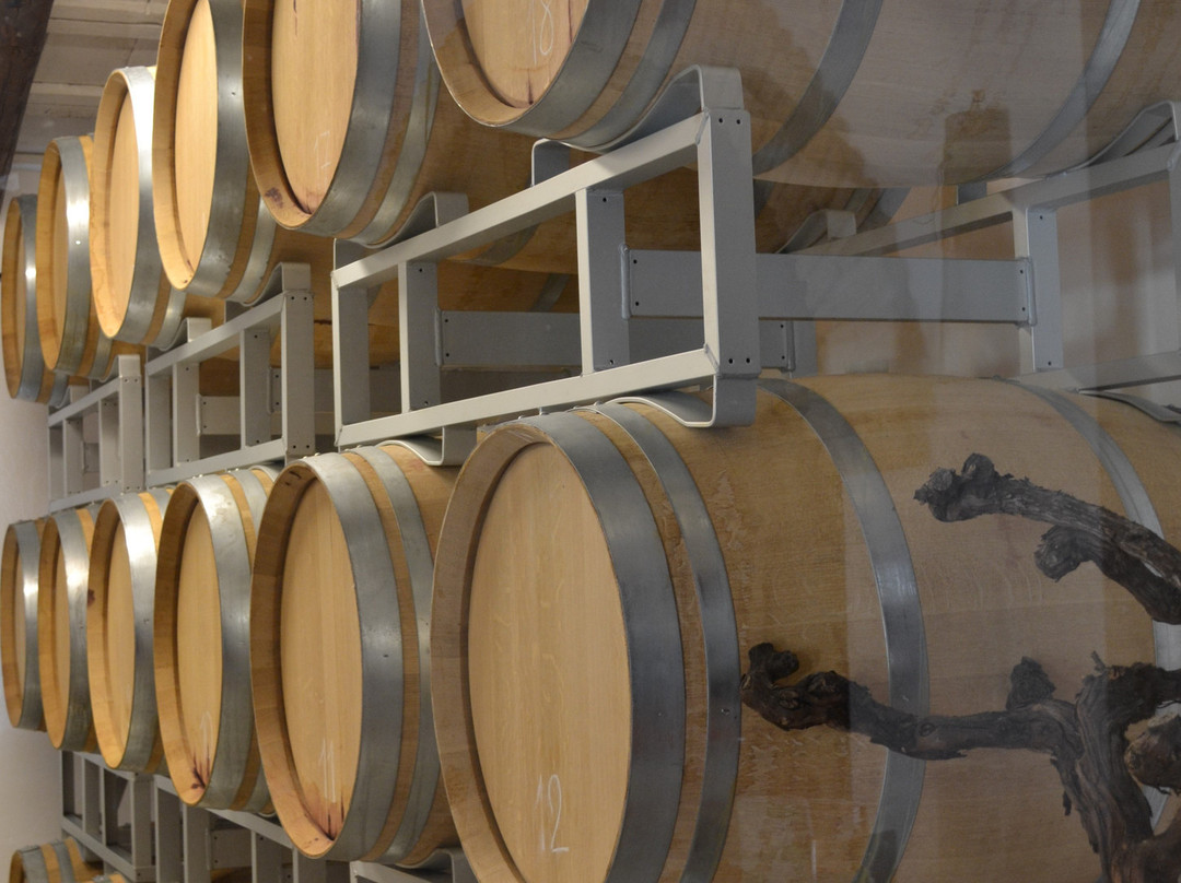 Cantina Olivastri Tommaso-San Vito Chietino必去景点