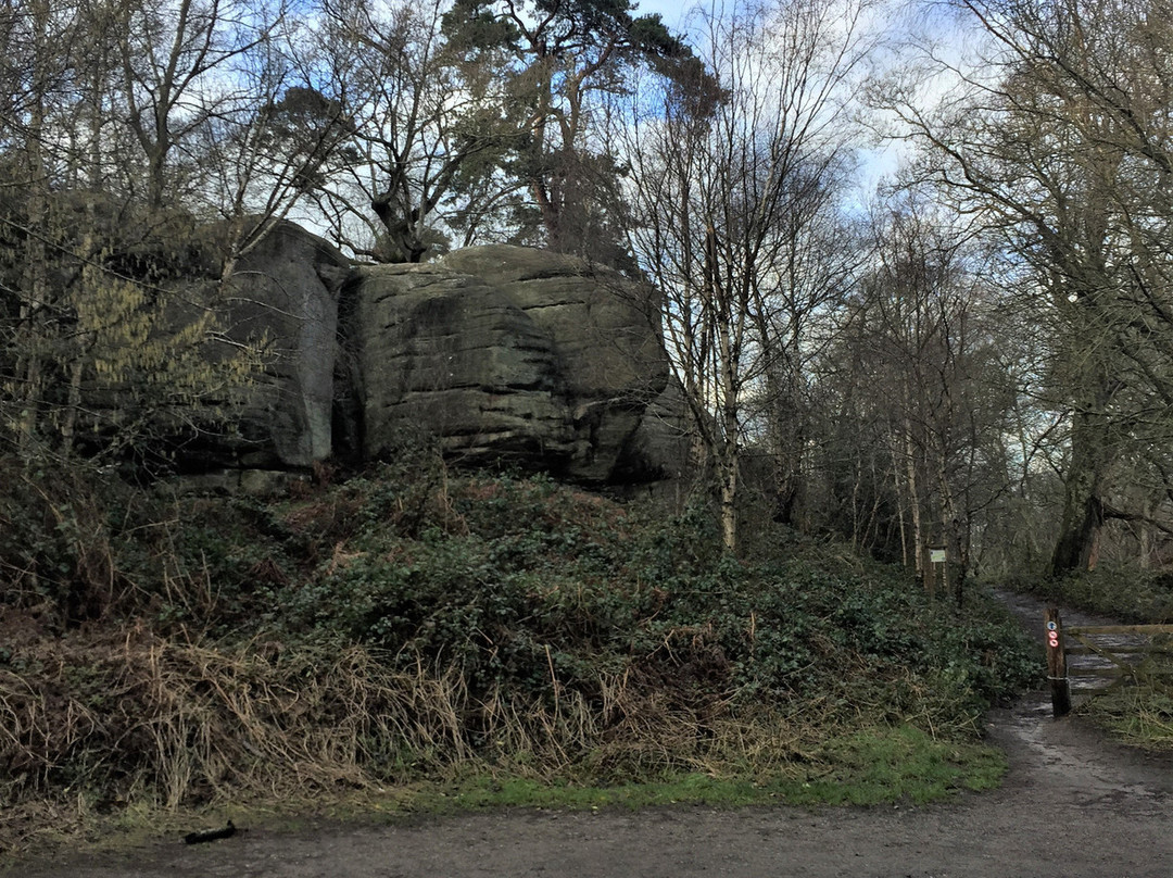 Eridge Rocks Nature Reserve景点图片