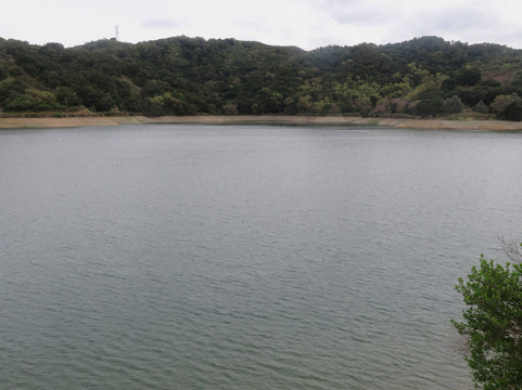 Stevens Creek County Park-库柏蒂诺必去景点