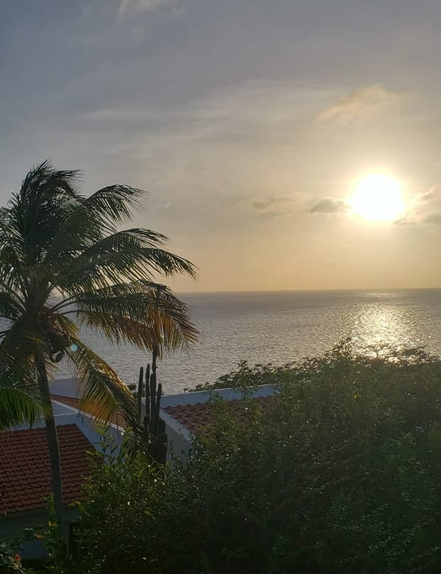 博内尔加勒比俱乐部主图