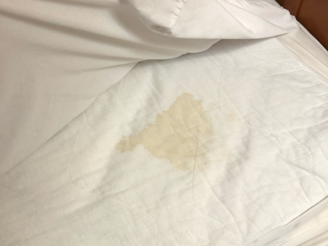 Hampton Inn Pittsburgh-Airport主图