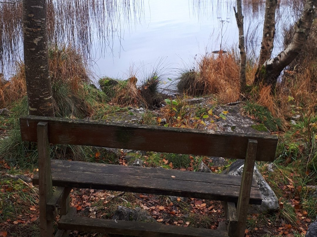 Portumna Forest Park-Portumna必去景点