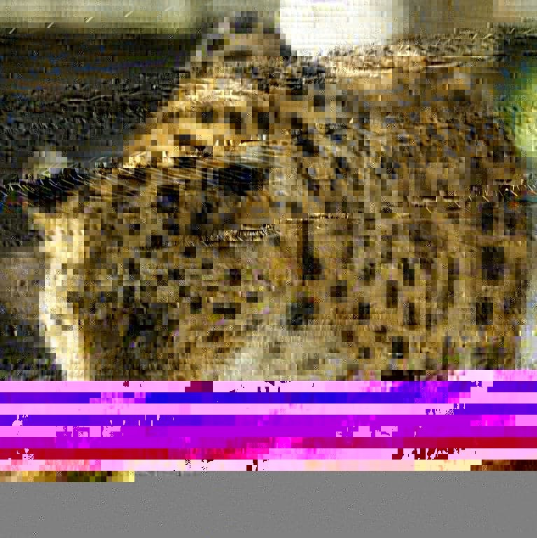 Twycross Zoo-Atherstone必去景点