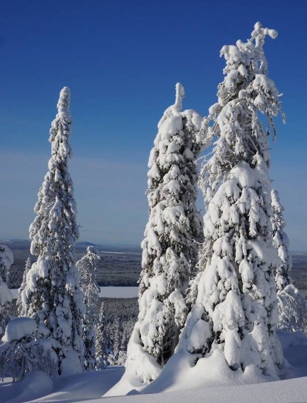 Sallatunturi Snowshoe Route-Salla必去景点