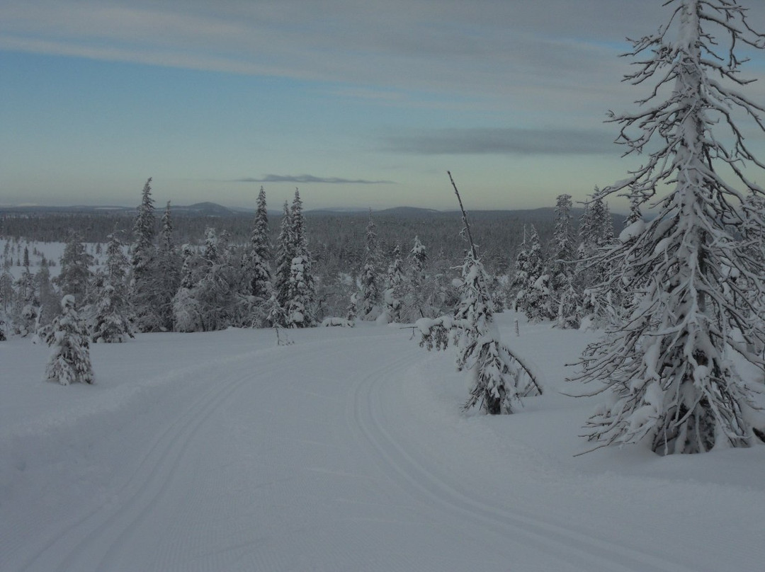 Ruuhitunturi Cross Country Ski Trails-Salla必去景点