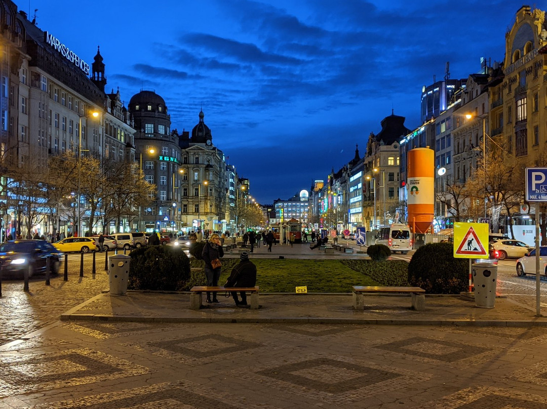 Wenceslas Square景点图片