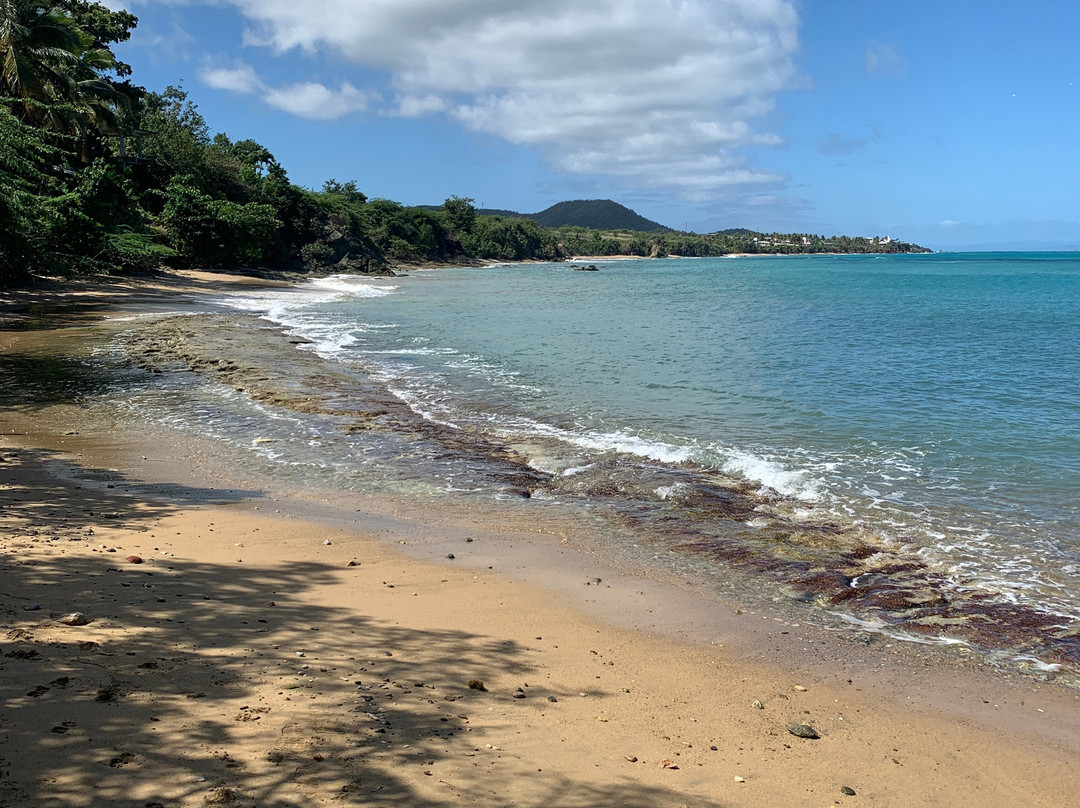 La Plata Beach-维切克岛必去景点