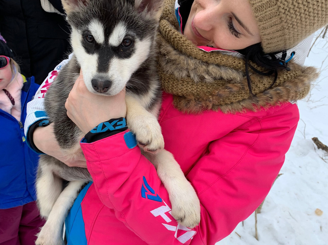 Secrets Nordiques Day Tours-博普雷必去景点