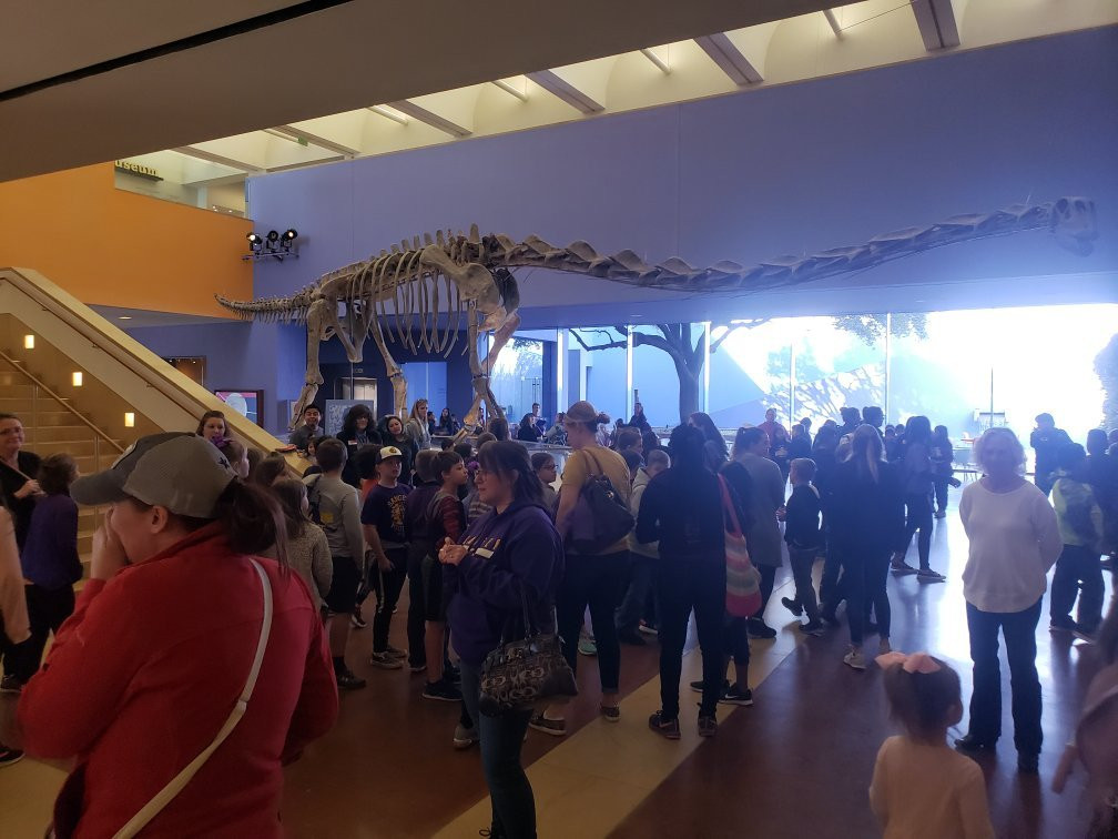 Fort Worth Museum of Science & History-沃思堡必去景点