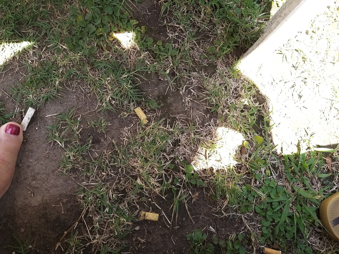 Hostal L'Hirondelle主图