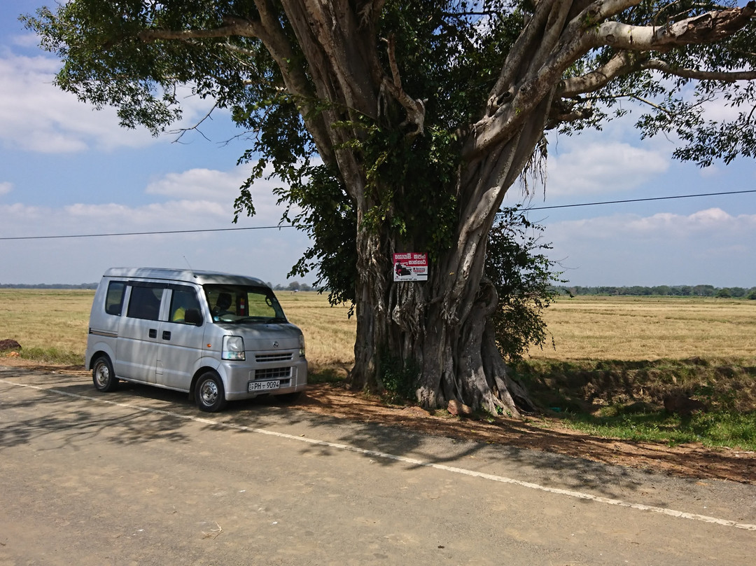 Yogi Tours & Travels景点图片