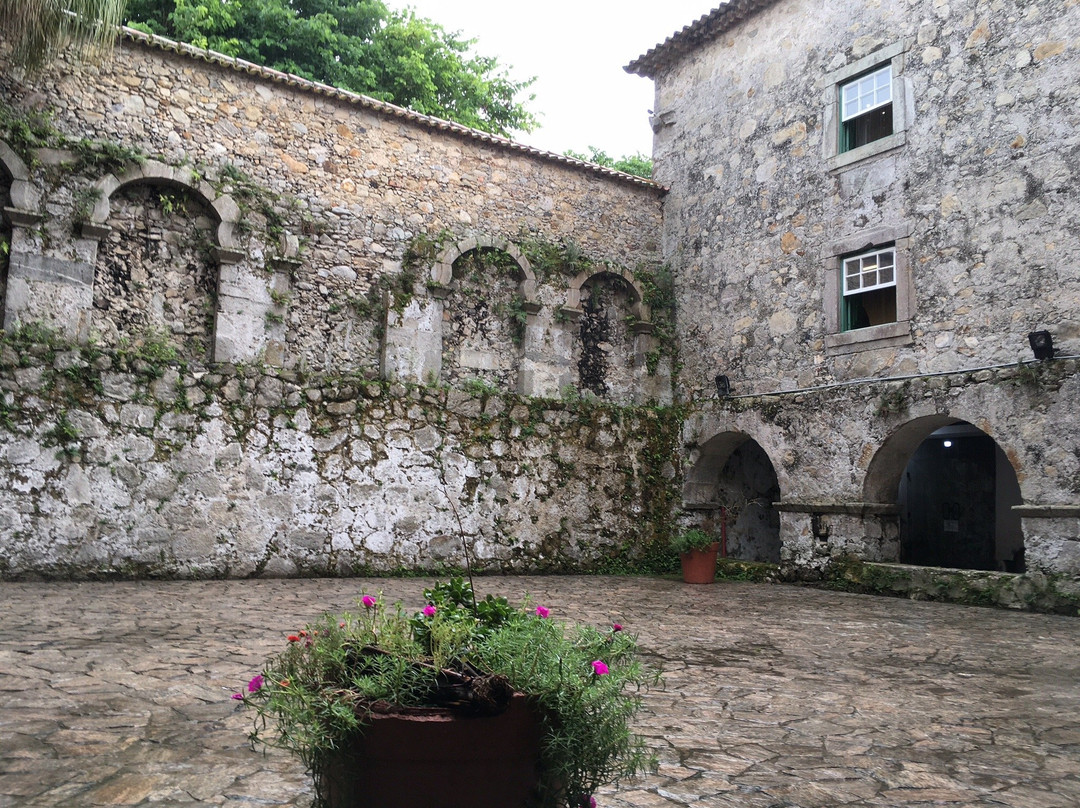 Federal University of Parana Museum of Archaeology and Ethnology-巴拉那瓜必去景点