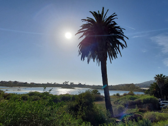 Anti american tours-圣莫尼卡必去景点