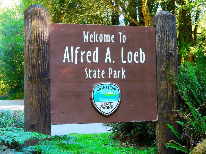 Alfred A Loeb State Park景点图片