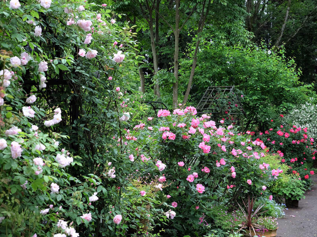 Naturel Garden Minamiaso景点图片