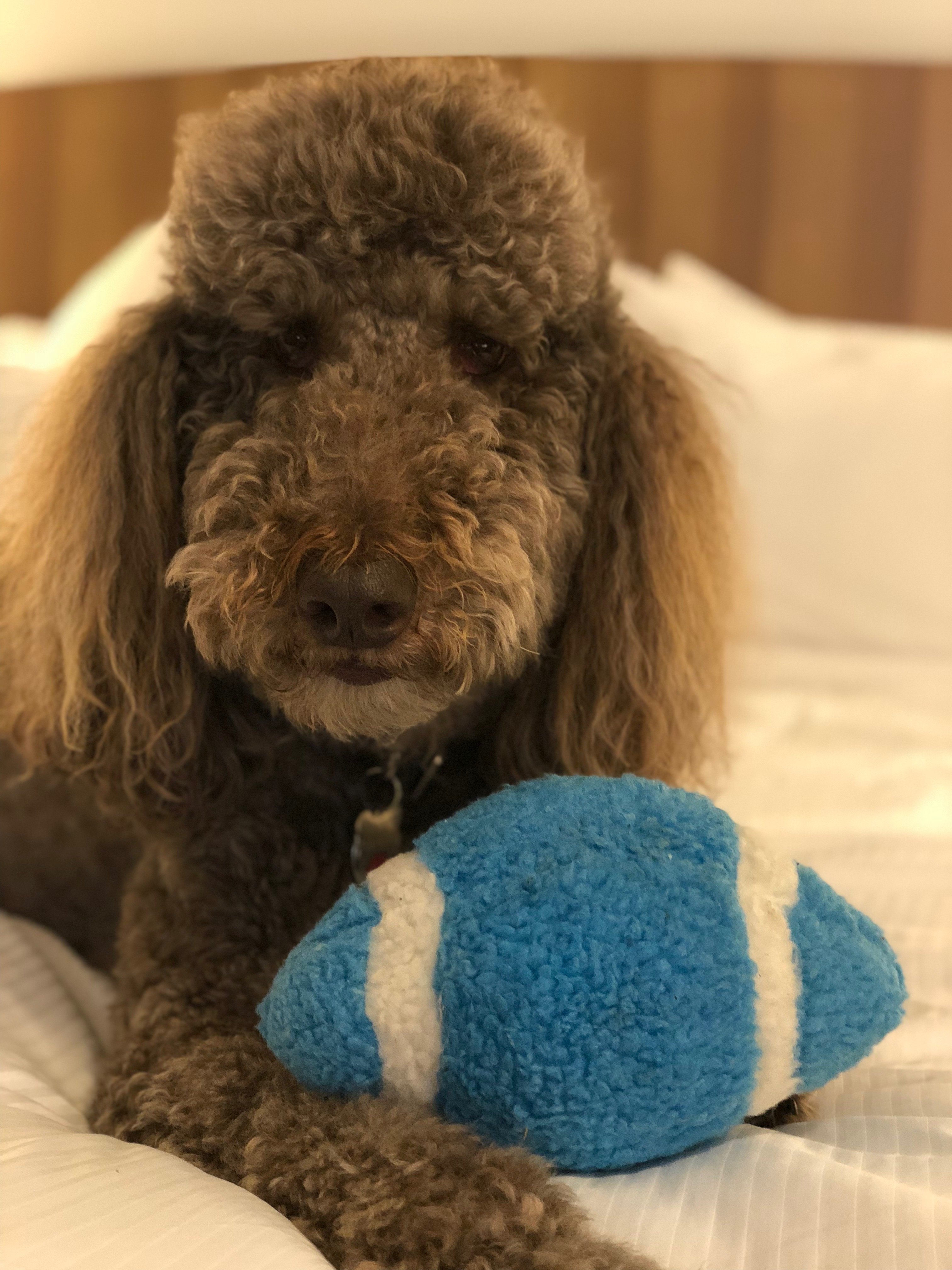 Element Seattle Redmond-portrait